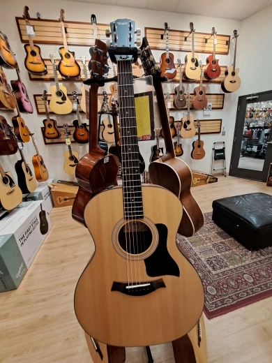 Taylor Guitars - 114E W V2